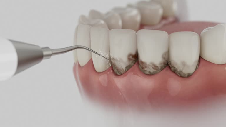 Reliable Dental contractor in North Pearsall, TX by Dentist Open Now
